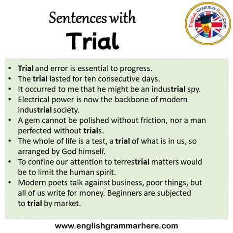 trial englisch|trial sentence examples.